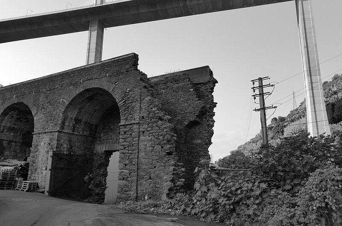 Private Tour The Historic Tour Halfday - Ponte dos Socorridos Ruins: Where the City’s Story Frays