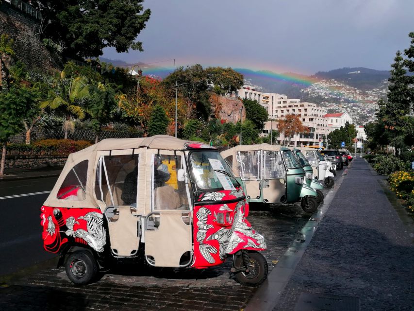 Private tour:Tuk Tuk Ride to Monte Funchal Toboggans - Key things to know before you go