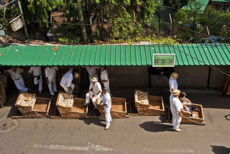 Private tour:Tuk Tuk Ride to Monte Funchal Toboggans - Who this private Monte to Funchal tour is best for