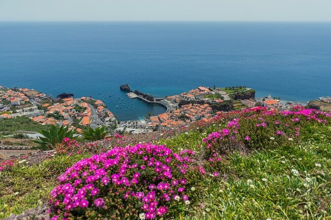 Private Tuk Tuk Tour on Câmara de Lobos, Fishing Village - Key highlights worth planning for