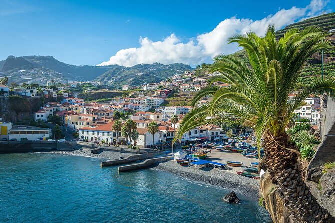 Private Tuk Tuk Tour on Câmara de Lobos, Fishing Village - Starting at Avenida Sá Carneiro, then getting on the road