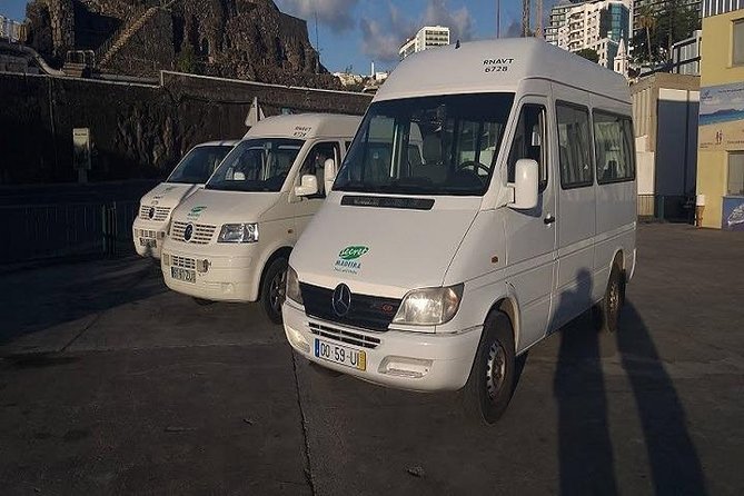 Private VipTours up to 4pax/8pax/19pax - A Flexible Madeira Day, Without the Guessing