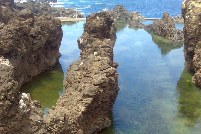 Private Waterfalls and Fanal Forest Tour - Stop 5: Vereda do Fanal—Fog, 600-Year Trees, and an Optional Walk