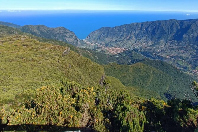 Private West Tour to Porto Moniz Pools and Fanal Forest - Key Highlights You’ll Actually Care About