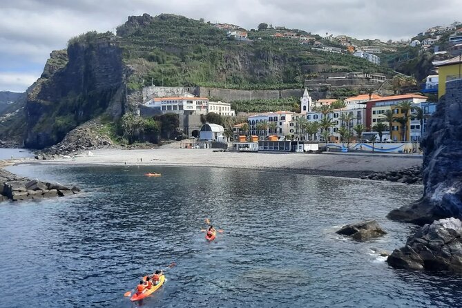 Private West Tour to Porto Moniz Pools and Fanal Forest - Fanal Forest (UNESCO): A Heritage Pause Between Coast Stops