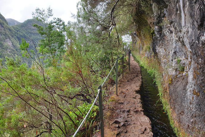 Queimadas-Caldeirão Verde - Where the Day Starts: Funchal Transfers and a 8:30 Morning
