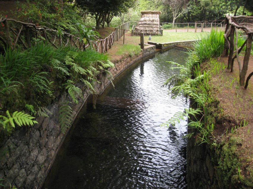 Queimadas Caldeirao Verde Full day hike - Key Things to Know Before You Go