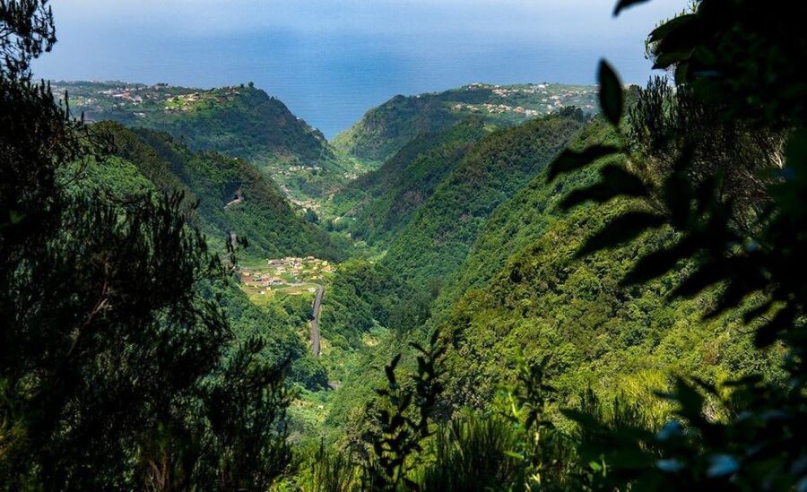 Queimadas Caldeirao Verde Full day hike - The Levada Walk and the São Jorge Views: Best Early Warning Signs