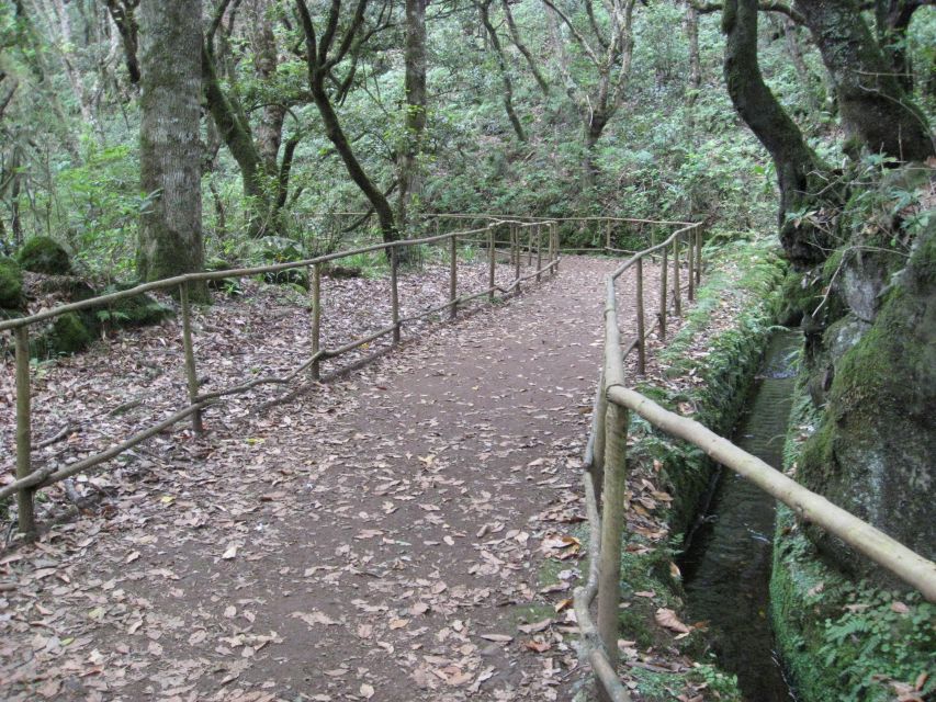 Queimadas Caldeirao Verde Full day hike - Tunnels, Narrow Sections, and Why Wet Grip Matters