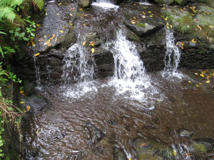 Queimadas Caldeirao Verde Full day hike - Value for Money: What You Get Beyond the Waterfall Photo
