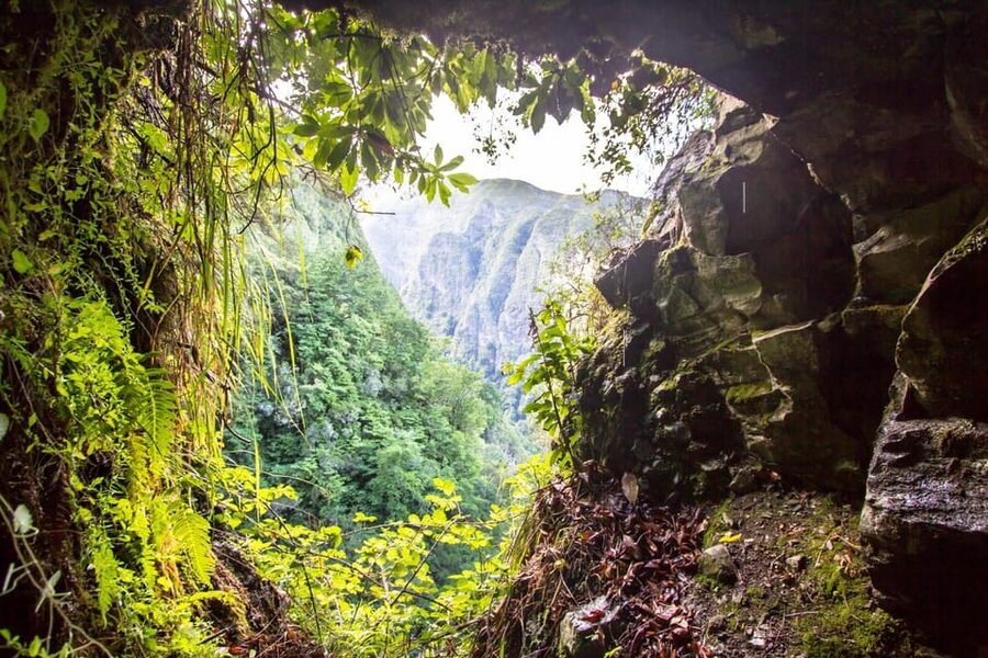Queimadas Caldeirão Verde Madeira Island Walk - Key highlights worth your time