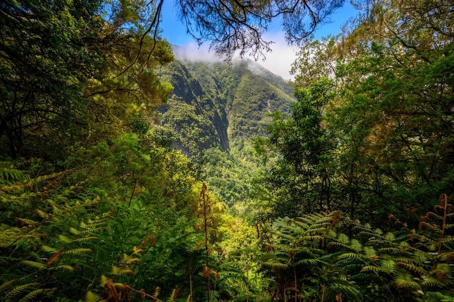 Queimadas Caldeirão Verde Madeira Island Walk - Queimadas to Caldeirão Verde: what this walk feels like