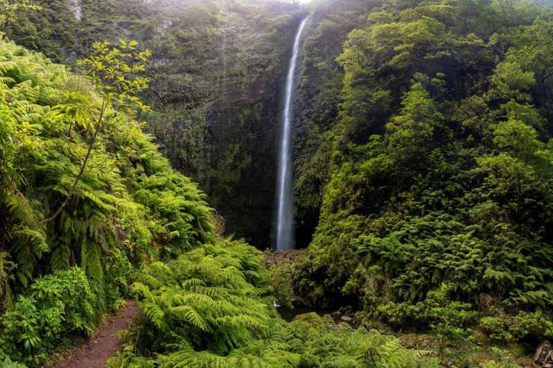Queimadas Caldeirão Verde Madeira Island Walk - Caldeirão Verde waterfall: the payoff, the pause, and your best timing