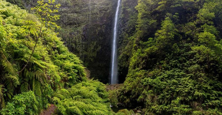Queimadas Caldeirão Verde Madeira Island Walk - Who should book this walk, and who might skip it