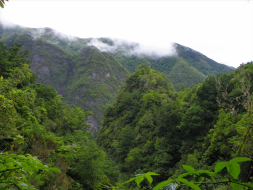 Queimadas Caldeirão Verde Walking tour with guide - The tunnels, streams, and waterfall payoff