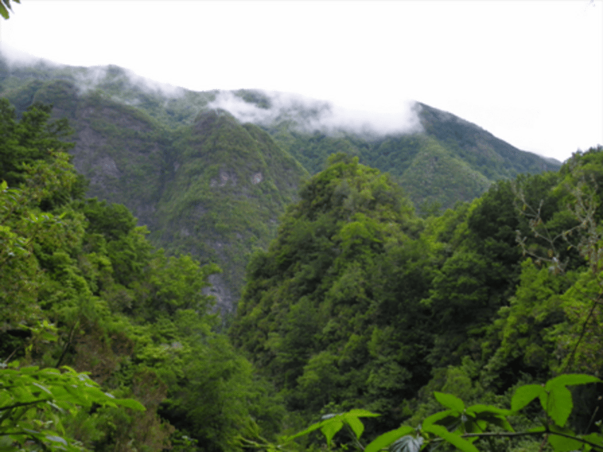 Queimadas Caldeirão Verde Walking tour with guide - Walking the Caldeirão Verde levada: 13 km that keeps you moving