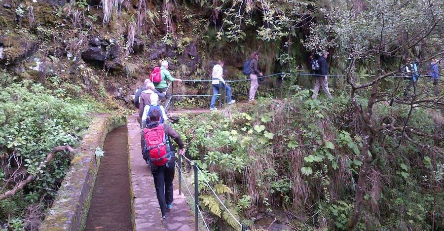 Queimadas Natural Park 5-Hour Guided Hike - Caldeirão Verde: Madeira’s 18th-century water road