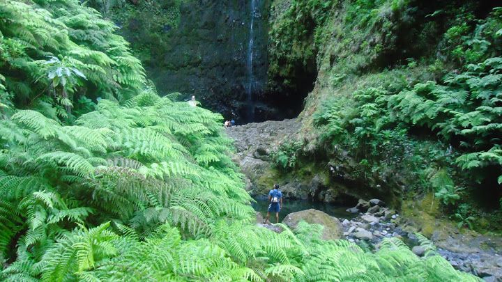Queimadas Natural Park 5-Hour Guided Hike - The levada trail: tunnels, steep cliffs, and old irrigation engineering