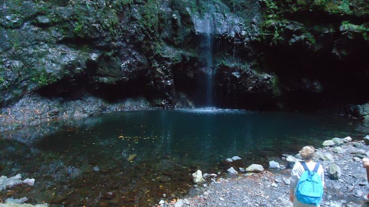 Queimadas Natural Park 5-Hour Guided Hike - How hard is it really on a 12 km walk?