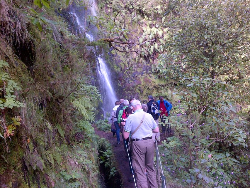 Queimadas Natural Park 5-Hour Guided Hike - Price and logistics: is $48 good value?