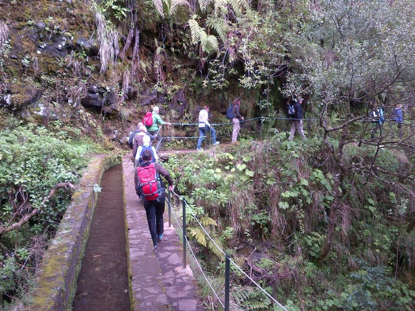 Queimadas Natural Park 5-Hour Guided Hike - Final verdict: should you book Queimadas Natural Park?