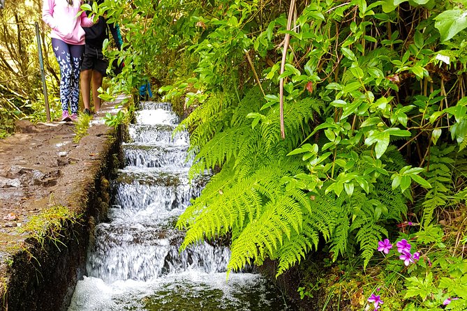 Rabaçal 25 Fontes Levada Walk in Small Groups - Pickup in Funchal: easy start, less day-wrecking stress
