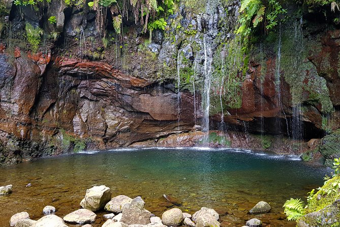 Rabaçal 25 Fontes Levada Walk in Small Groups - The Laurissilva forest: what you’ll feel and notice on the way