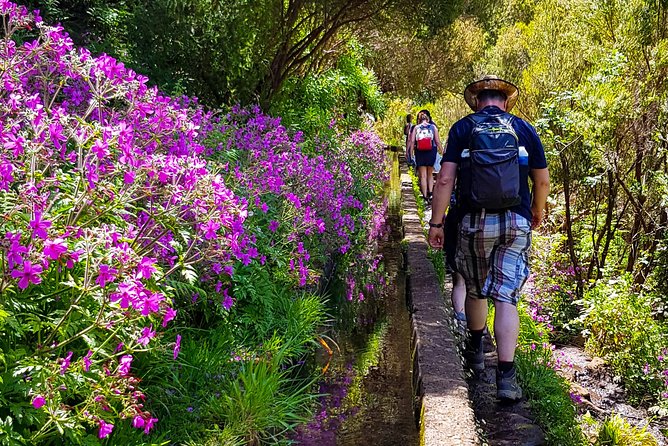 Rabaçal 25 Fontes Levada Walk in Small Groups - Stop 1: 25 Fontes and Cascada da Risco in one strong push