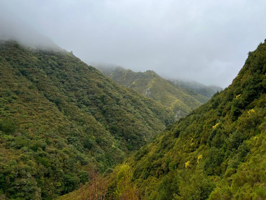 Rabaçal: 25 Fontes & Risco Levada Hiking Transfer - Rabaçal to 25 Fontes and Risco: why the morning timing matters