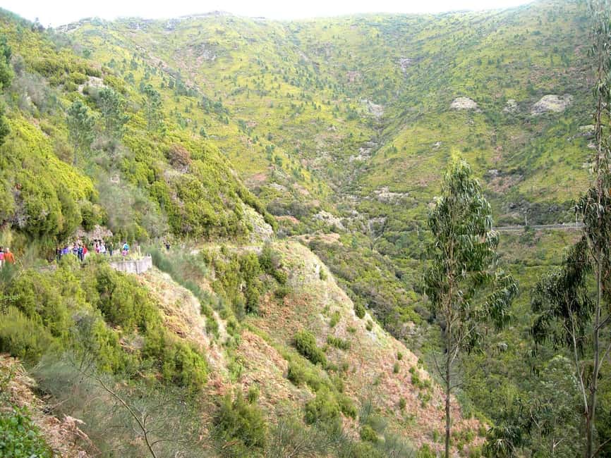 Rabaçal: 25 Fontes & Risco Levada Hiking Transfer - Self-guided hiking: what you get, and what you control