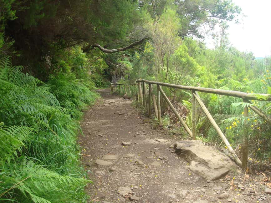 Rabaçal: 25 Fontes & Risco Levada Hiking Transfer - Weather on Madeira: packing for mist, rain, and slippery stairs