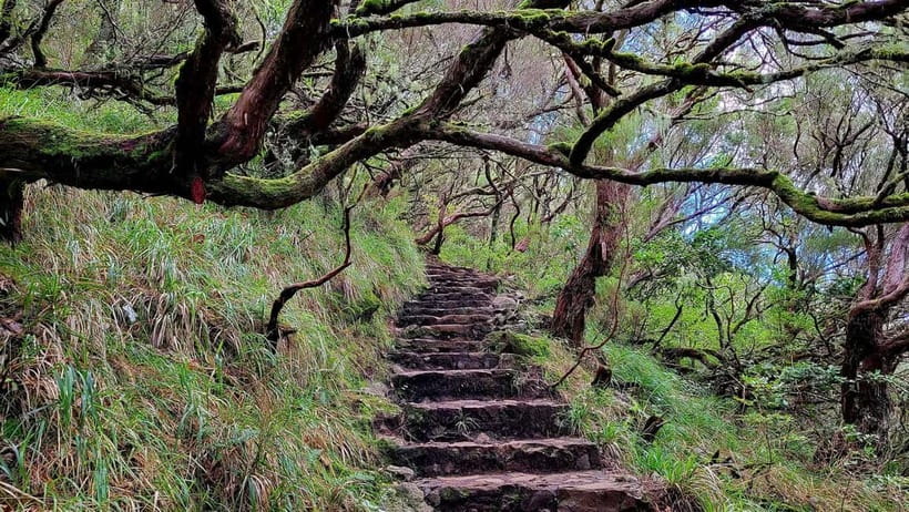 Rabaçal: 25 Fontes & Risco Levada Hiking Transfer - Is $40 good value for this day? My take