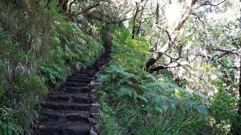 Rabaçal: 25 Fontes & Risco Levada Hiking Transfer - How the hotel pickup and van ride actually work