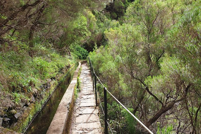 Rabaçal - 25 Fonts - Best fit: who should book this Levada + 25 Waterfalls walk