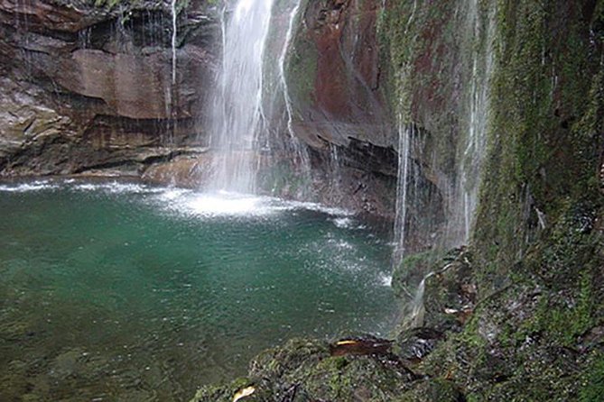 Rabacal - 25 Fountains - The 8:30am rhythm: getting from Funchal to the trail without wasting your day
