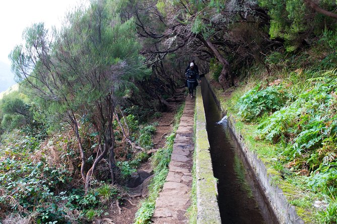 Rabaçal Hiking Tour - Casa do Rabaçal Stop: Your First Taste of the Day