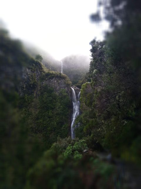 Rabaçal: Lagoa do Vento, Levada Risco and Levada 25 Fontes - Key Things That Make This Walk Worth Your Time