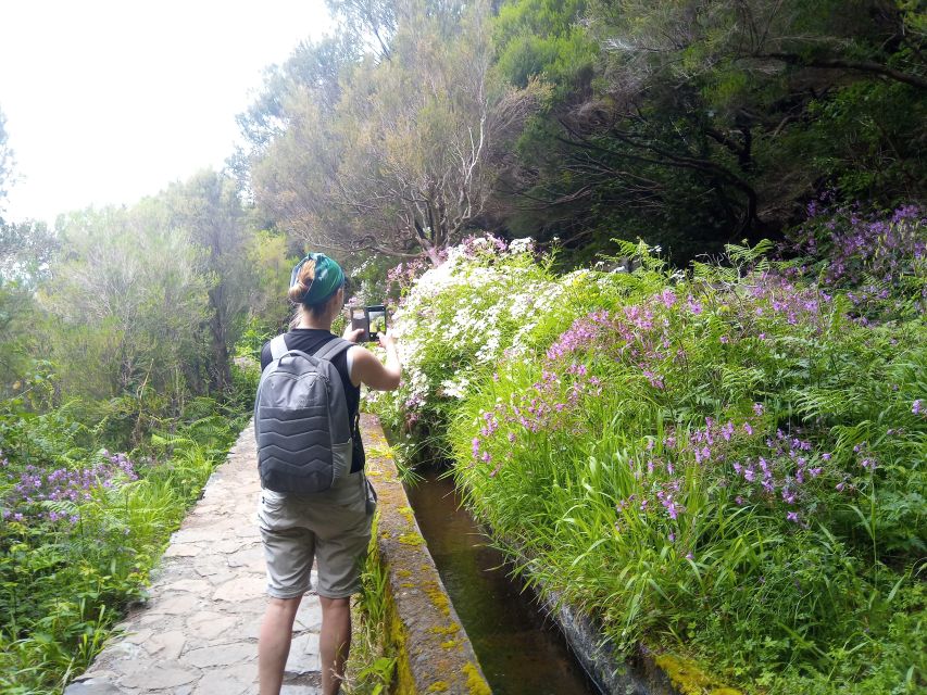 Rabaçal: Lagoa do Vento, Levada Risco and Levada 25 Fontes - Rabaçal Valley: A Waterfall Day That Feels Like a Route, Not a Rush
