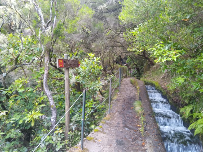 Rabaçal: Lagoa do Vento, Levada Risco and Levada 25 Fontes - Pace and Terrain: How Hard Is This Really?