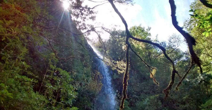 Rabaçal: Lagoa do Vento, Levada Risco and Levada 25 Fontes - Getting There: Pickup in Madeira and the Jeep/SUV Ride