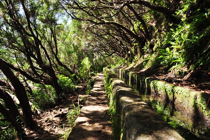 Rabaçal - Levada das 25 Fontes - Footwear, warmth, and the tunnel reality: pack for comfort and safety