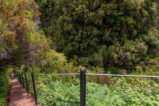 Rabaçal - Levada das 25 Fontes - Who should book this hike (and who should think twice)