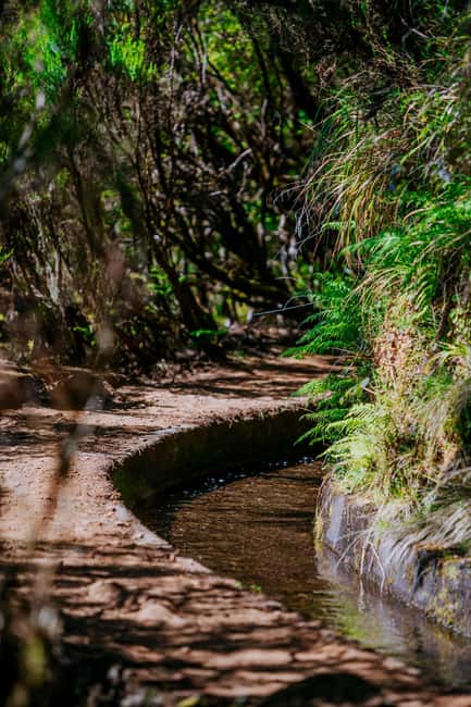 Rabaçal Nature Experience: Alecrim & Lagoa do Vento Hike - Key things that make this hike work well