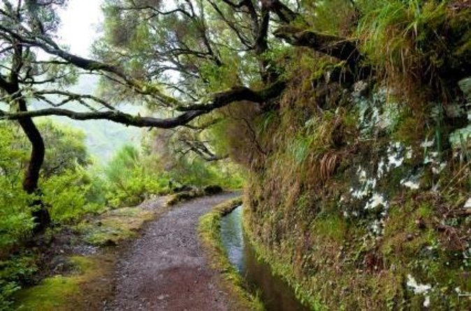 Rabaçal / Risco / 25 Fountains Full-day walk - Key highlights worth caring about