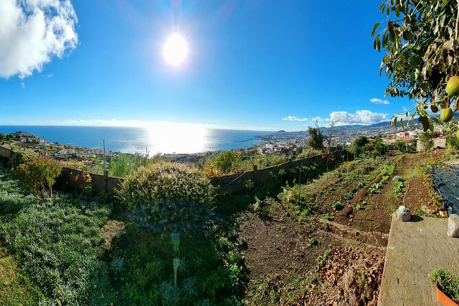 "Re-Canto" Farm-to-Table with Stunning Views at Madeira - The 4-Course Menu: Espetada Star Plus Seasonal Madeiran Sides