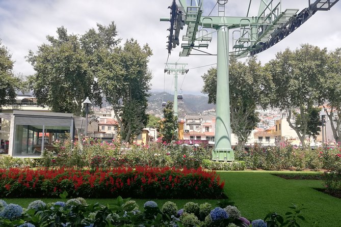 Real Life, Mountains & Sea Cliffs + Lunch + Levada walk - 6 hours - Meeting at Funchal (and What You’re Really Getting)