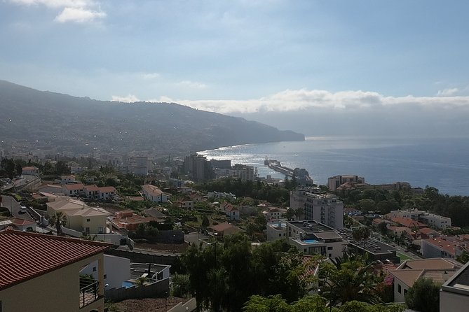 Real Life, Mountains & Sea Cliffs + Lunch + Levada walk - 6 hours - Cámara de Lobos: Wine Slopes, Banana Greens, and the Mountain Feel
