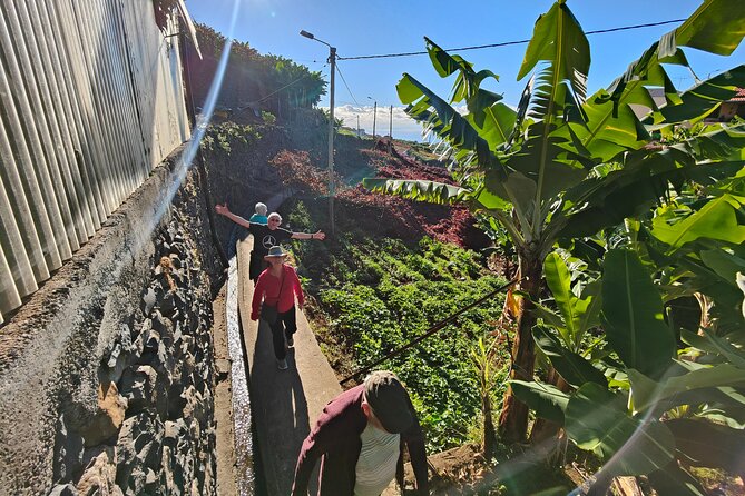 Real Life, Mountains & Sea Cliffs + Lunch + Levada walk - 6 hours - Jardim da Serra: The Cherry Country Stop (and Poncha If You Want)