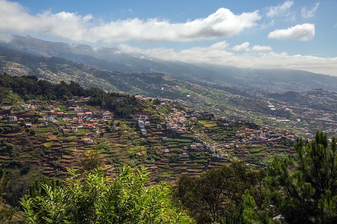 Real Life, Mountains & Sea Cliffs + Lunch + Levada walk - 6 hours - Levada Norte: The Short Walk That Makes the Island Feel Real