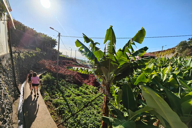 Real Life, Mountains & Sea Cliffs (Nun´s Valley View) - Half Day 4x4 Tour - Estreito de Câmara de Lobos wine hills and banana-green valleys